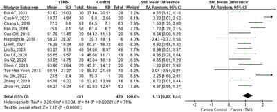 Repetitive transcranial magnetic stimulation for post-stroke non-fluent aphasia: a systematic review and meta-analysis of randomized controlled trials